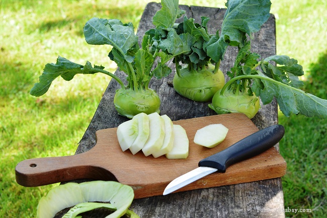 Kohlrabi gefüllt mit Tomaten, Zucchini und Frischkäse