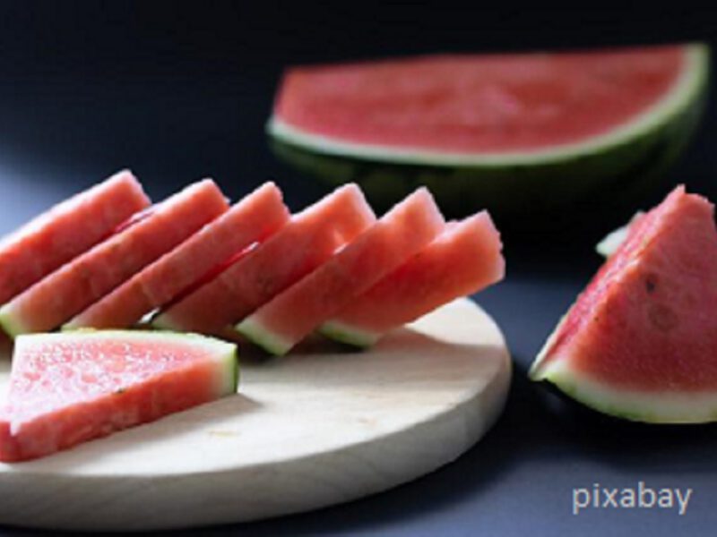 Wassermelone mit Grillkäse